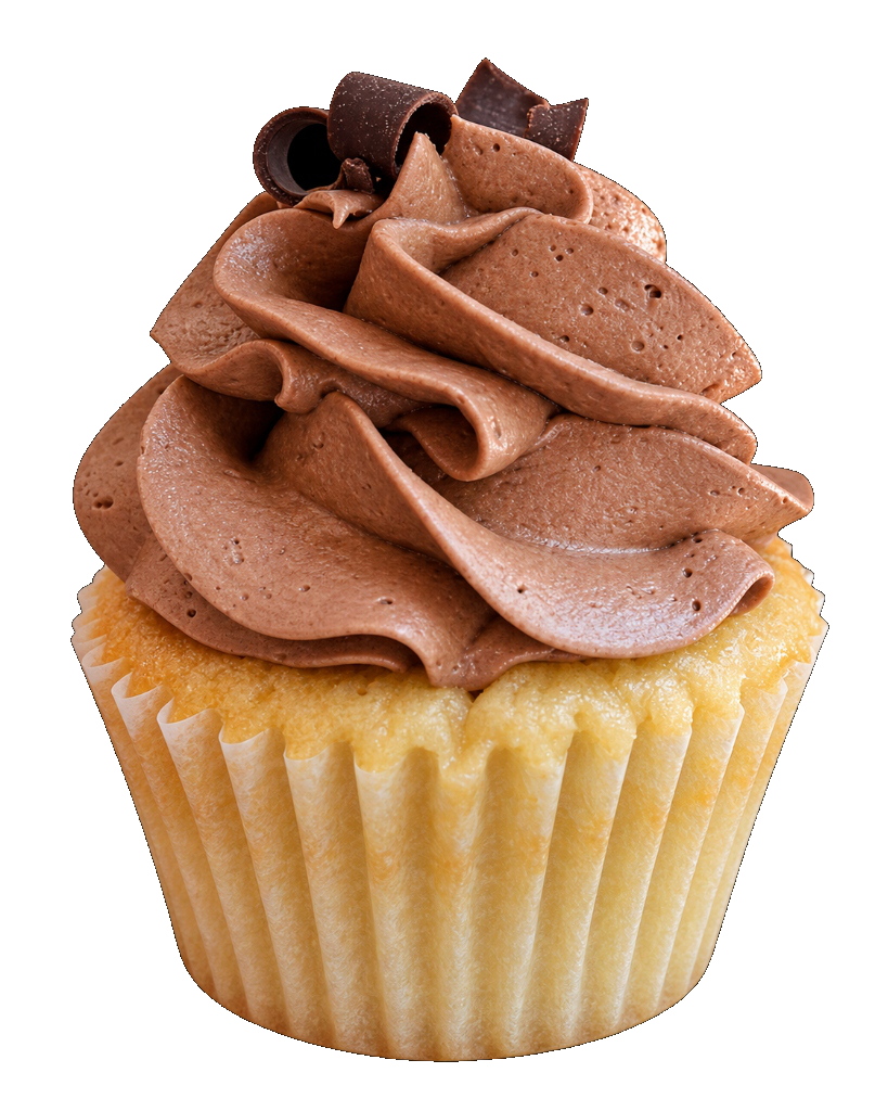 Vanilla Chocolate Fudge Cupcake